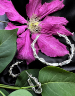 Intreccio Hoop Earrings